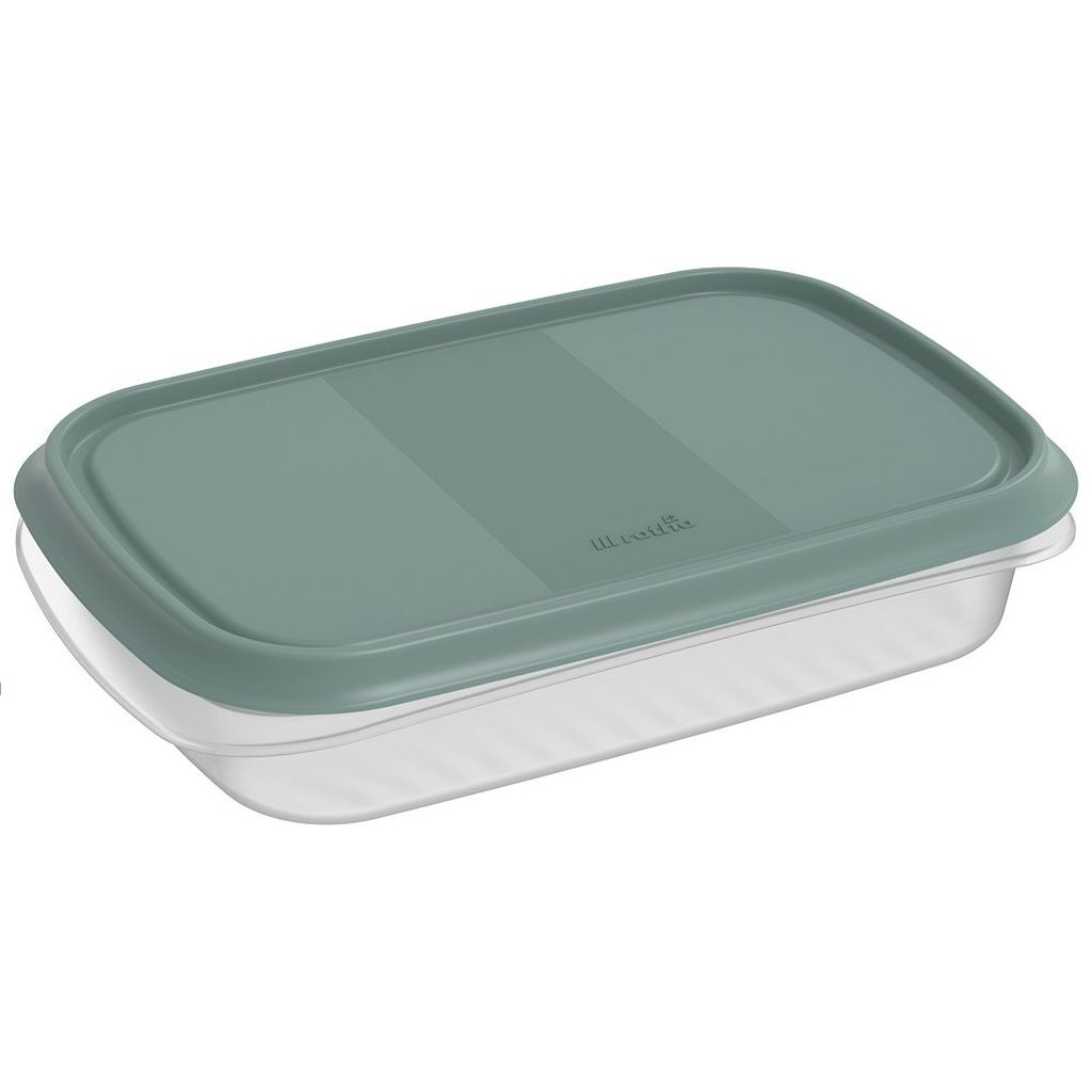 Rotho ELEMENTS Koelkast Bewaardoos 24x16x5 cm 1L Mistletoe Groen/Transparant