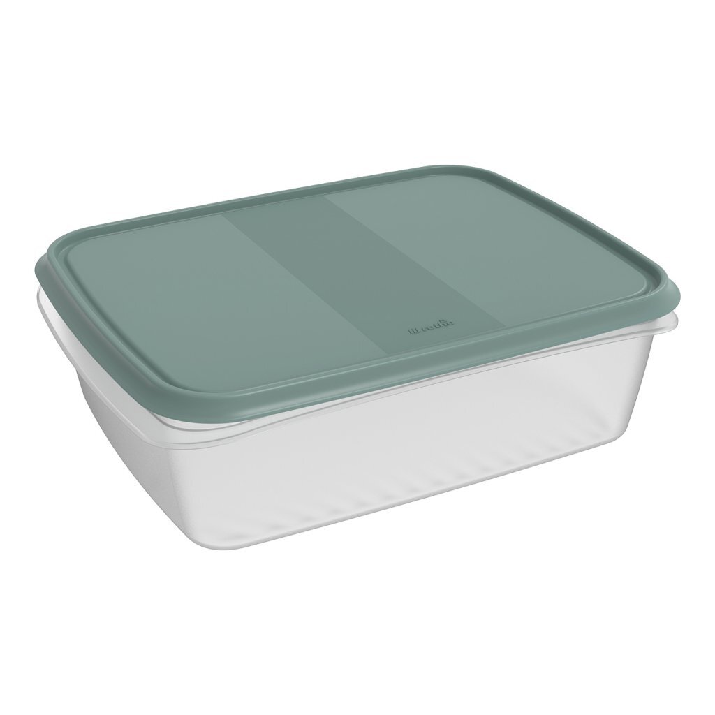 Rotho ELEMENTS Koelkast Bewaardoos 31x24x10 cm 5L Mistletoe Groen/Transparant