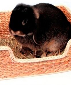 ROSEWOOD CHILL 'N' SNOOZE KNAAGDIERBED