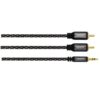 Avinity Audiokabel 2 Cinch-stekkers - 3