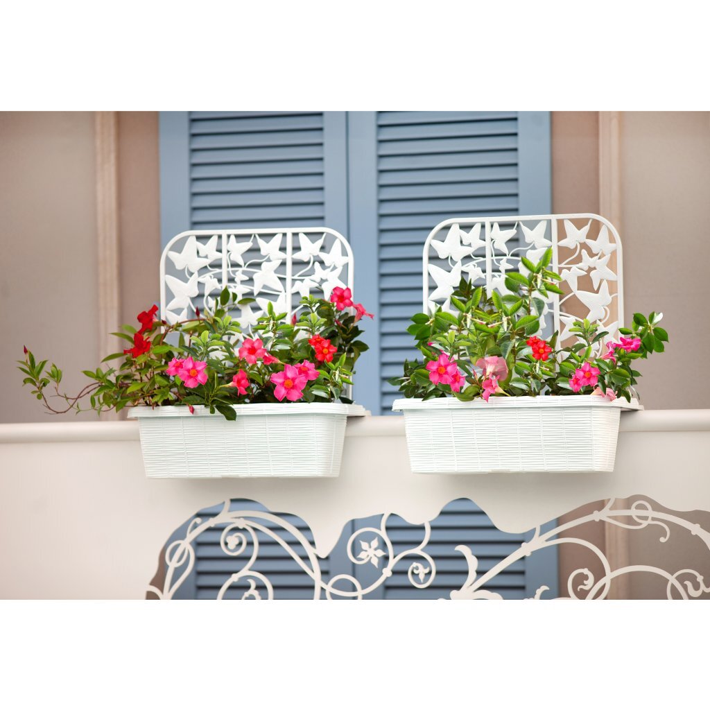 Bama Fioriera Bloem-Balkonbakken Privacy 60x22x64 cm 2 Stuks Wit - Image 2