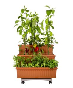 Bama Orto Di Kit Plantenbakken 80x74x73 cm Terracotta