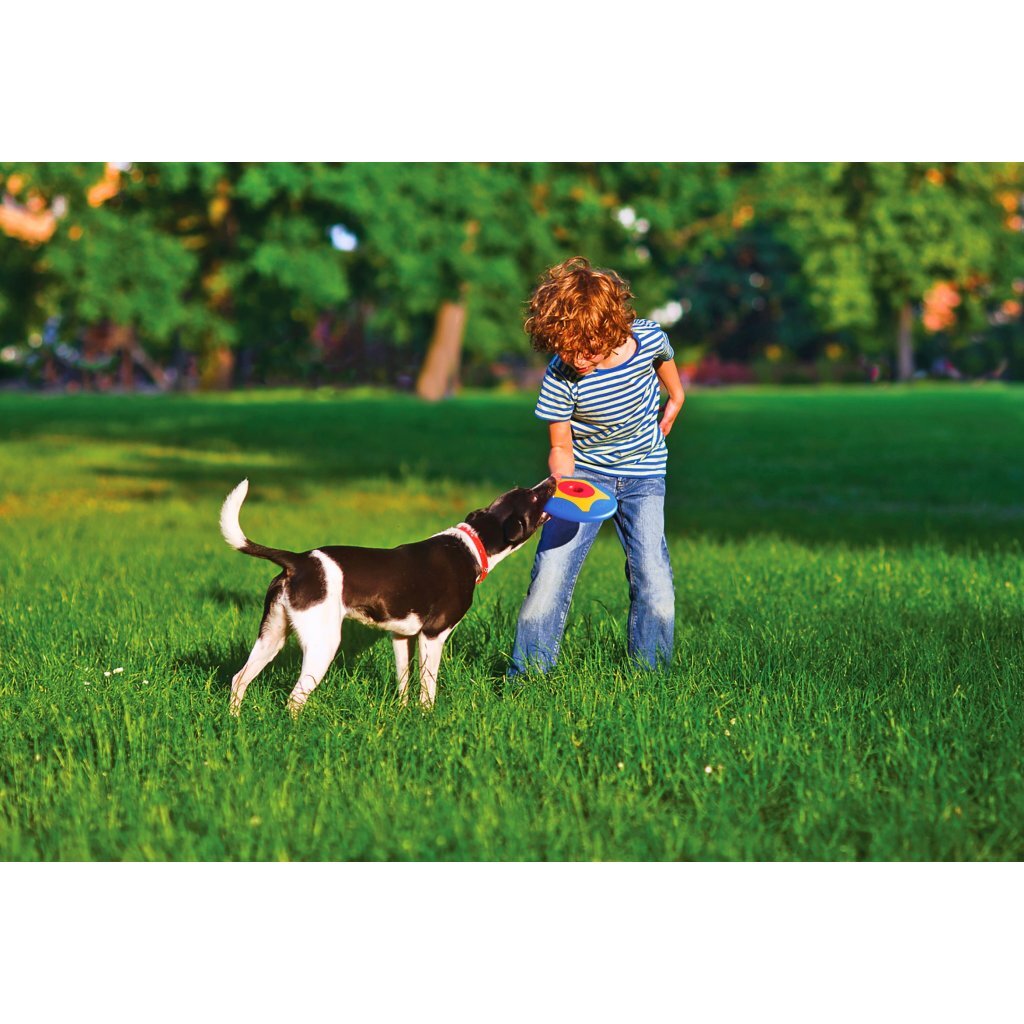 Bama Pet Trotto Disk Hondenspeelgoed 24.5x4.5 cm Blauw/Geel/Rood - Image 5