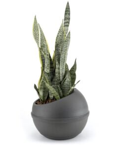 Alternative view of Bama Sfera Bloempot 23L 40.5x32 cm Antraciet