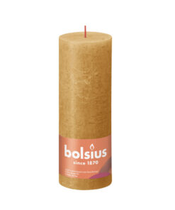 Bolsius Kaars 19x6