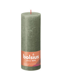 Bolsius Kaars 19x6