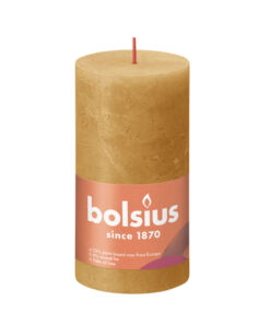 Bolsius Kaars 8x6
