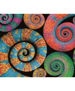 Alternative view of Clementoni Colorboom Collection Puzzel Curly 500 Stukjes