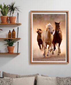 Alternative view of Clementoni High Quality Collection Puzzel Paarden 1000 Stukjes