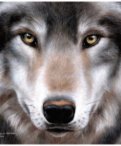 Craft Buddy Crystal Art Wolf 30x30 cm