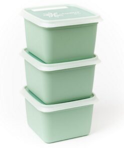 DBP Alaska Diepvriesdozen Vierkant 0.5L 3 Stuks Mintgroen