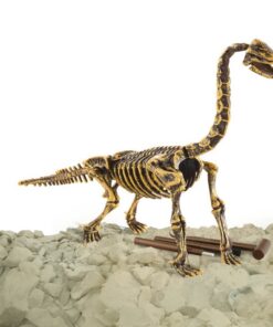 Alternative view of Dinobase Dino 3D Brachiosaurus Skelet