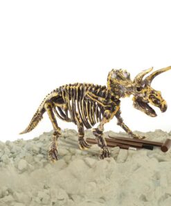 Alternative view of Dinobase Dino 3D Triceratops Skelet