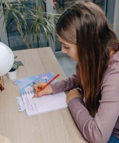 Alternative view of Disney Stitch Notitieboekje A5