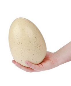 Alternative view of Dream Horse Eenhoorn Ei