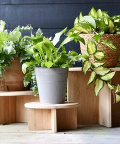 Alternative view of Esschert Design Bamboe Plantentafeltje 25x11 cm