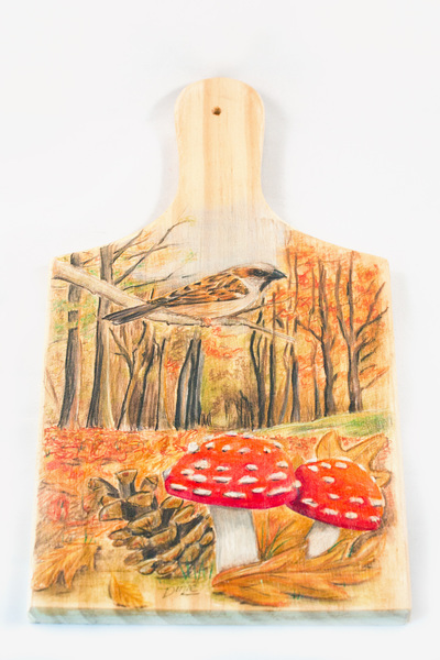 Faber Castell FC-110012 Kleurpotlood Polychromos 3,8mm Kerndikte Etui à 12 Stuks - Image 3