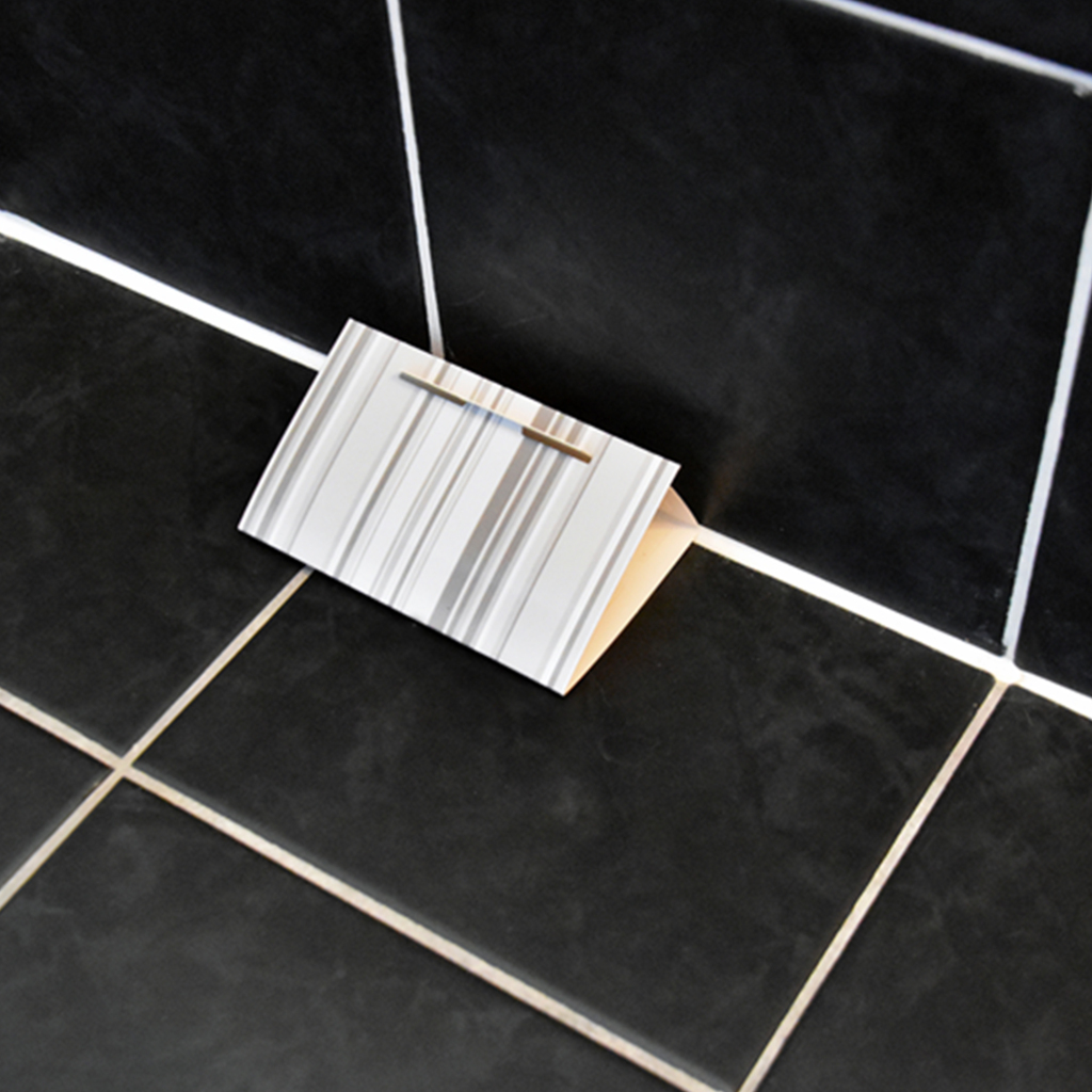 HG Zilvervisjesval 2 Stuks - Image 3