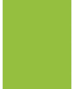 Kangaro K-0043F275 Papier A4 120gr Pak A 100 Vel Groen