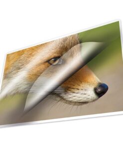 Kangaro K-16004 Lamineerhoezen 125 Micron 11.1x15.4 cm 100 Vel