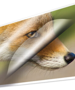 Kangaro K-16006 Lamineerhoes 125 Micron 100 Vel 154x216mm