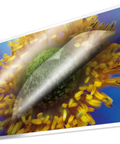 Kangaro K-16011 Lamineerhoes 100 Micron 100 Vel 303x426mm