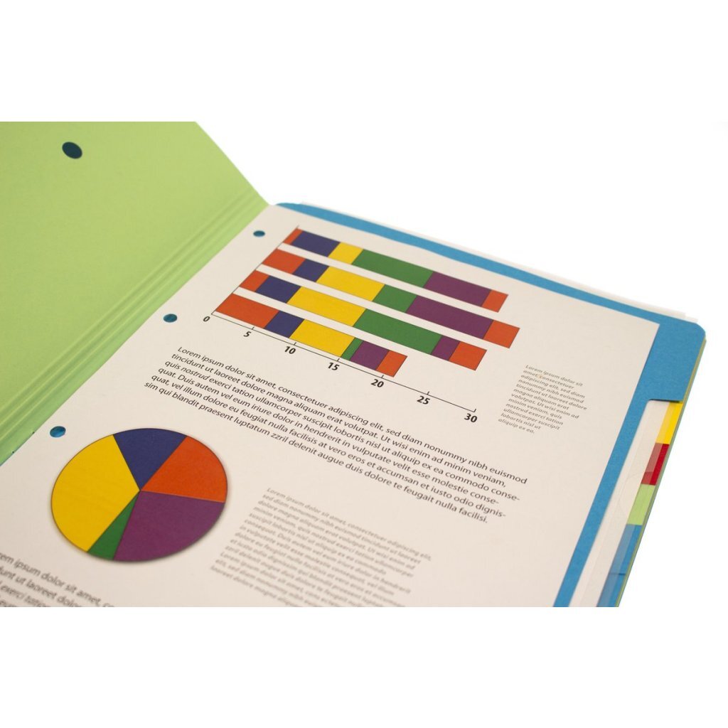 Kangaro K-3010-12 Sorteermap met 12 Tabs - Image 3