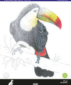 Kangaro K-5332 Tekenblok A3 200 Gr 20 Vel Wit Fijne Korrel Kopgelijmd