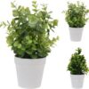 Kunstplant in Bloempot Groen 25cm