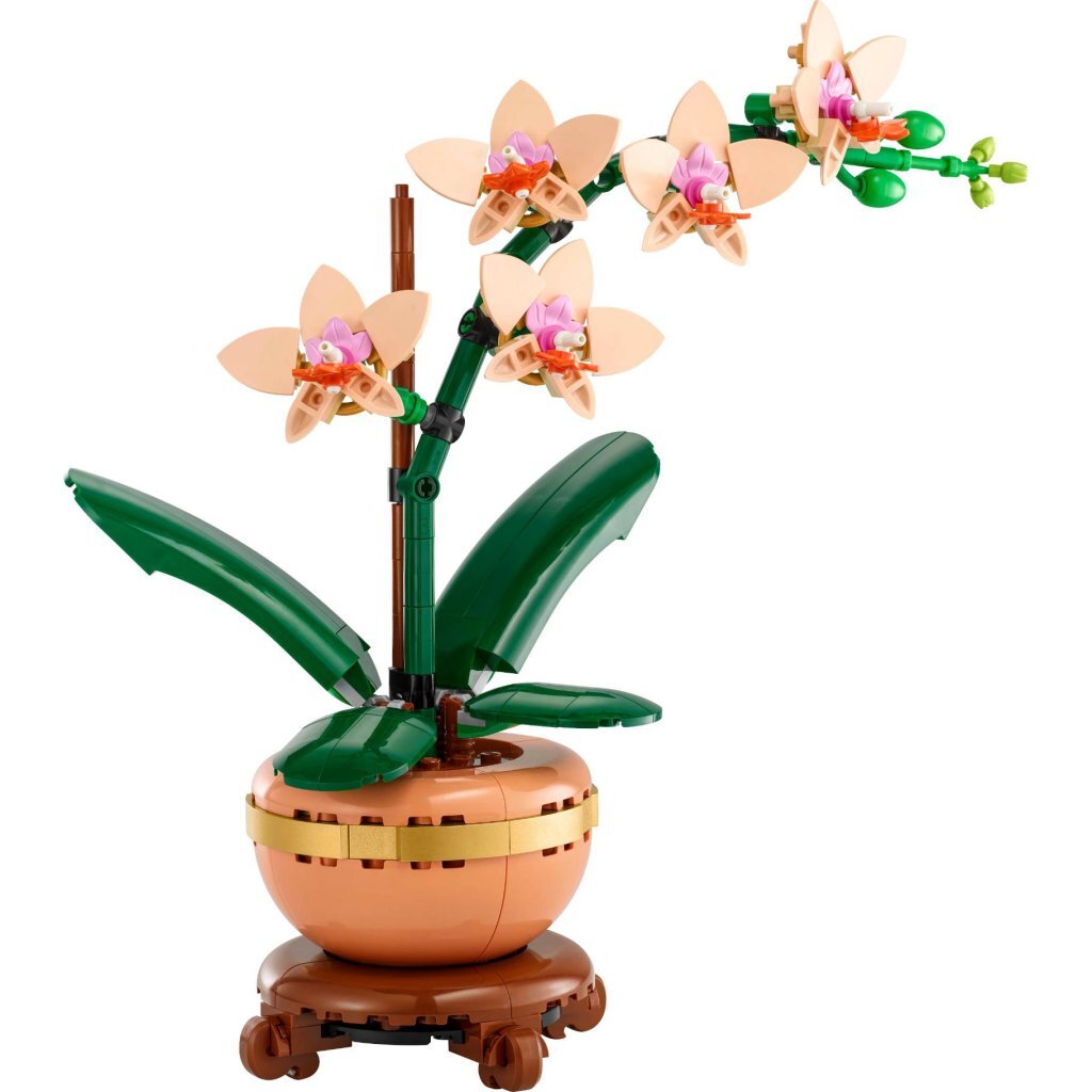 Lego Botanicals 10343 Miniorchidee - Image 2