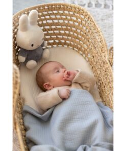 Alternative view of Nijntje Fluffy Knuffel 25 cm Blauw