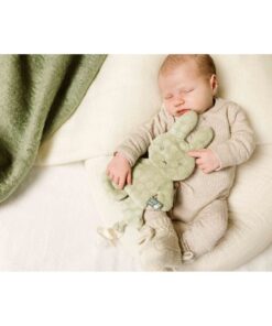 Alternative view of Nijntje Fluffy Speendoekje Groen