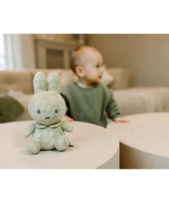 Alternative view of Nijntje Knuffel 20 cm Groen