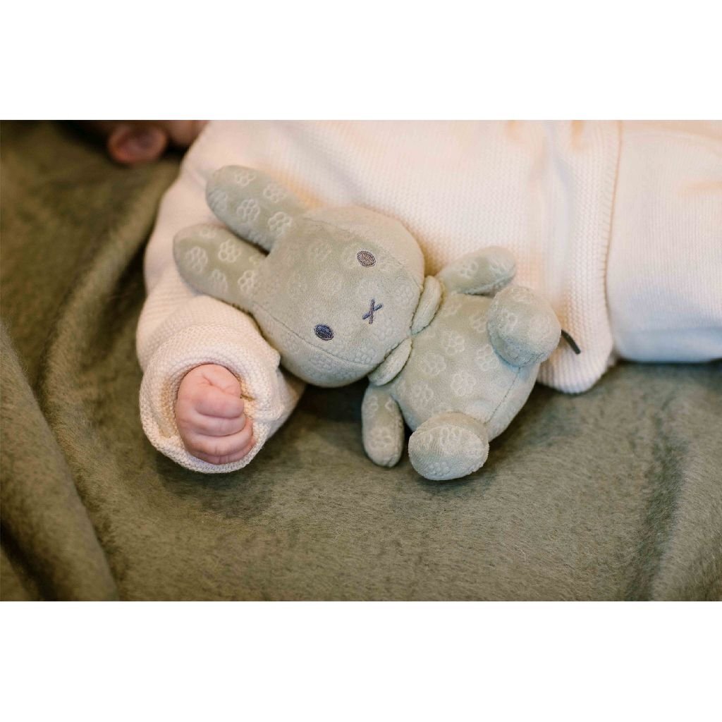 Nijntje Knuffel 20 cm Groen - Image 3