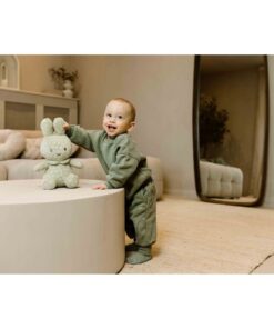 Alternative view of Nijntje Knuffel 30 cm Groen