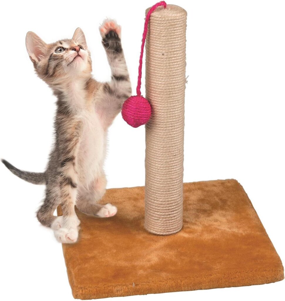 Pet Toys Krabpaal met Balletje Hout 30 x 35 cm - Image 2