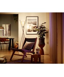 Alternative view of Philips Vintage LED Dimbare Globe G95 E27 60W Amberkleurig Glas