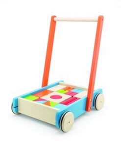 Pintoy Baby Walker Duwwagen met Blokken