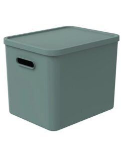 Rotho ALBULA Multibox 29.5x29x37 cm 27L Mistletoe Groen