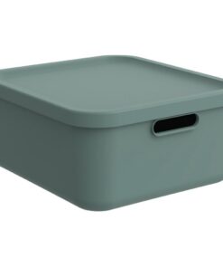 Rotho Albula Decoratie Opbergbox 20L Mistletoe Groen