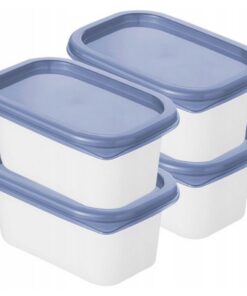 Rotho Domino Diepvriesdozen 4x0.2L Horizon Blauw/Wit