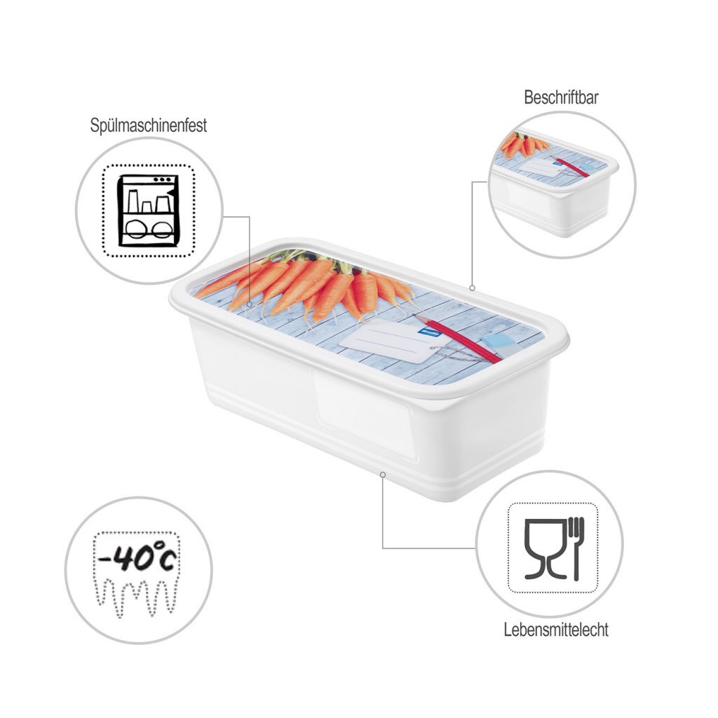 Rotho Domino Diepvriesdozen Etiket Decor 3x1.2L Wit - Image 3