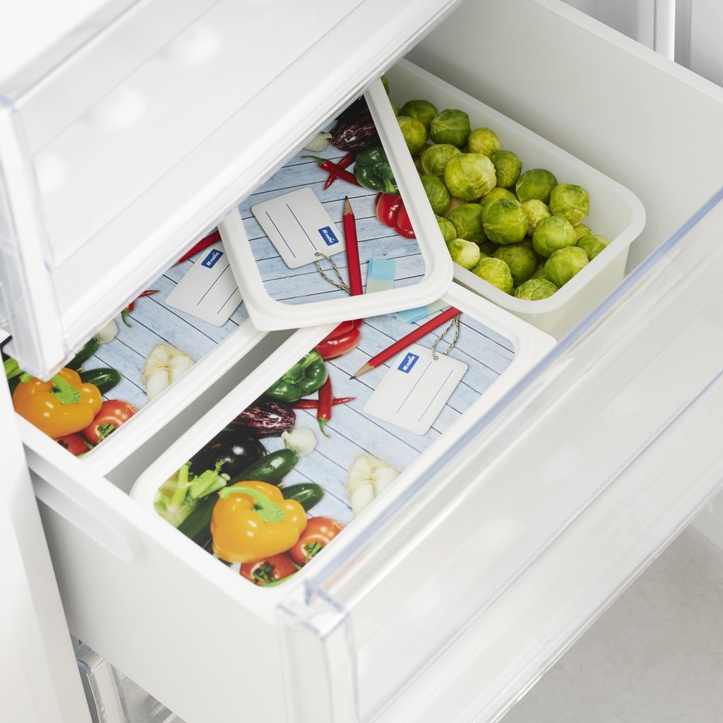 Rotho Domino Diepvriesdozen Etiket Decor 3x1.5L Wit - Image 2