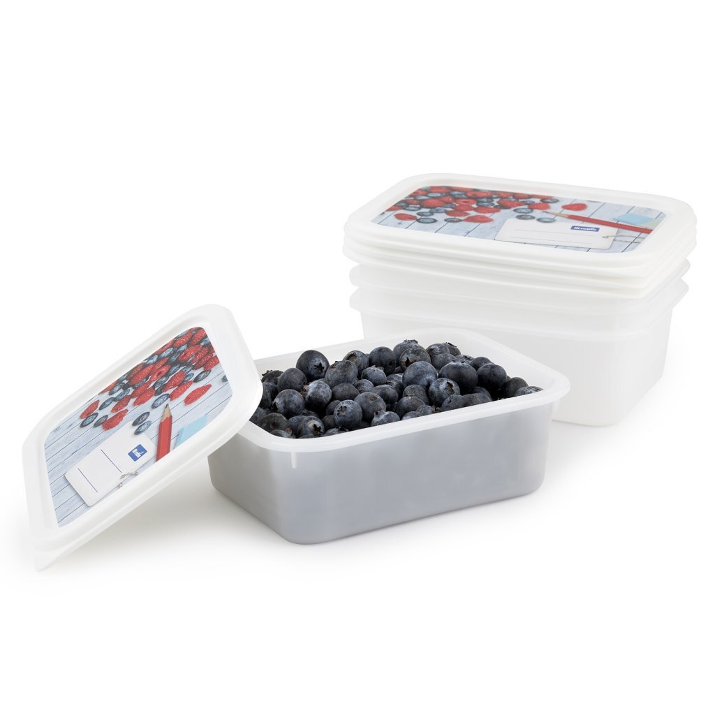 Rotho Domino Diepvriesdozen Etiket Decor 4x0.5L Wit - Image 2