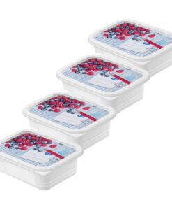 Rotho Domino Diepvriesdozen Etiket Decor 4x0.5L Wit