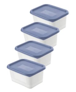 Rotho Domino Diepvriesdozen Etiket Decor 4x0.75L Horizon Blauw/Wit