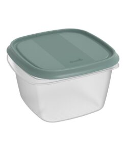 Rotho ELEMENTS Koelkast Bewaardoos 16x16x10 cm 1.3L Mistletoe Groen/Transparant