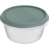 Rotho ELEMENTS Koelkast Bewaardoos Rond 0.7L Mistletoe Groen/Transparant