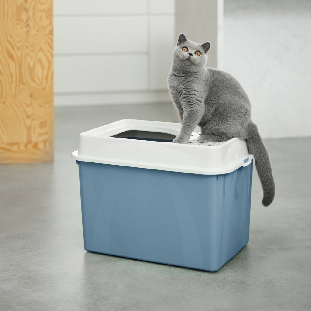 Rotho Eco Berty Kattenbak met Boveningang Blauw/Zand - Image 2