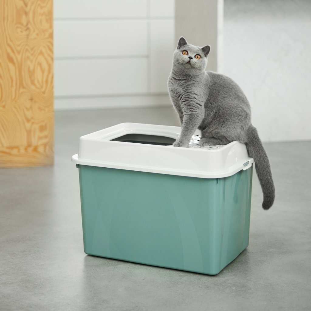Rotho Eco Berty Kattenbak met Boveningang Groen/Zand - Image 2